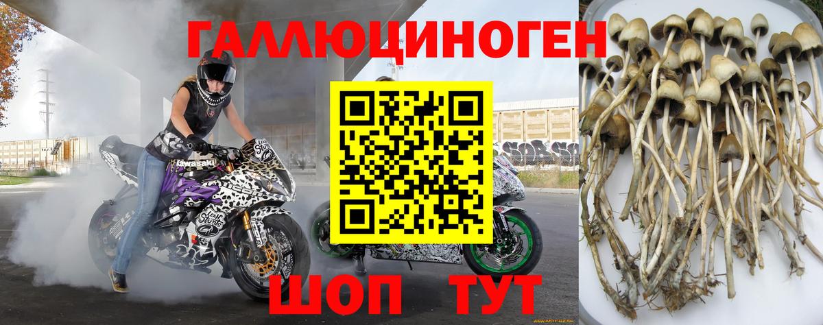 Галлюциногенные грибы ЛСД Качканар
